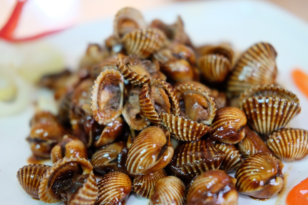 Kerang Blenger Jogja